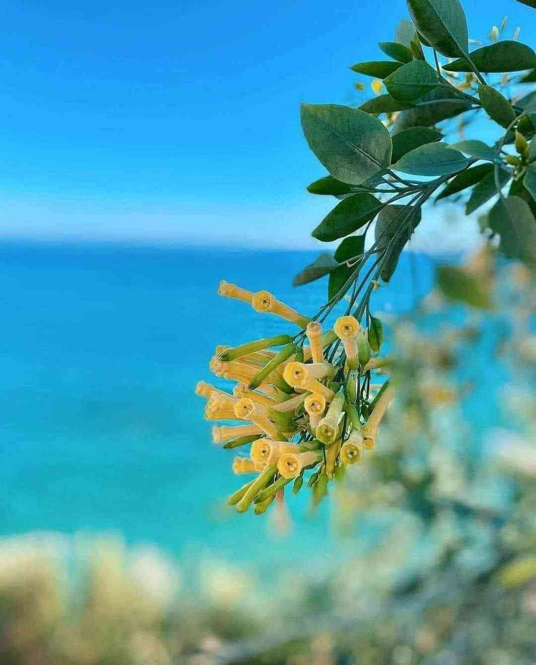Cyprus Dream Holiday Galéria 80